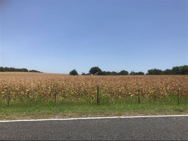 Gil Farmhouse & Cornfield (7/28/2020 - Credits: Dana Gil)
