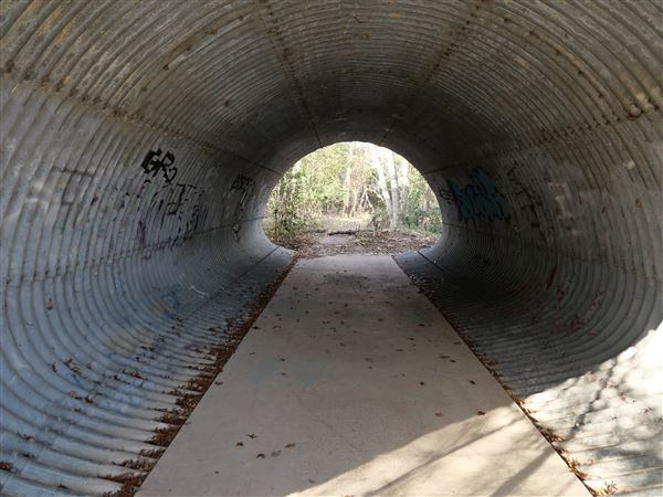 Walnut Creek Metropolitan Park (12/15/2020)