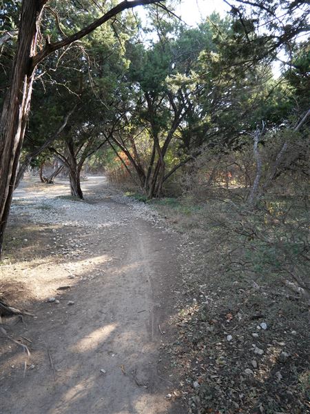 Walnut Creek Metropolitan Park (12/15/2020)