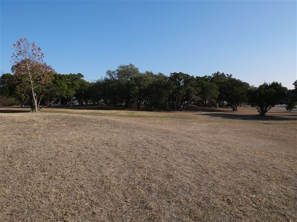 Walnut Creek Metropolitan Park (12/15/2020)