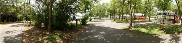 Lake Bastrop - North Shore Park (8/3/2021)