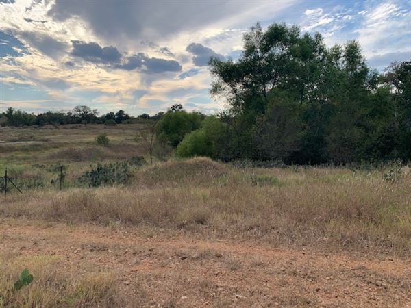 Rose Ranch (9/27/2021 - Credits: Roy Rose on my I-Phone)