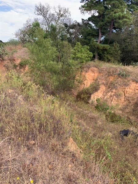 Rose Ranch (9/27/2021 - Credits: Roy Rose on my I-Phone)