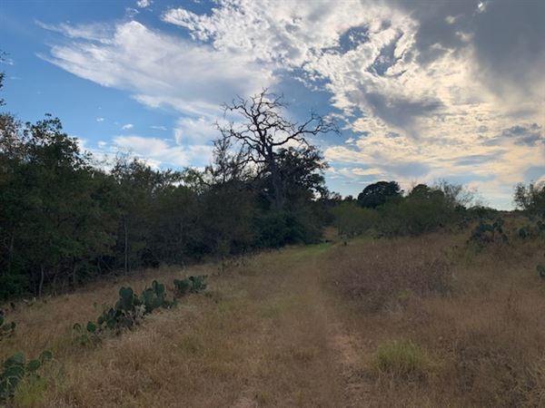 Rose Ranch (9/27/2021 - Credits: Roy Rose on my I-Phone)