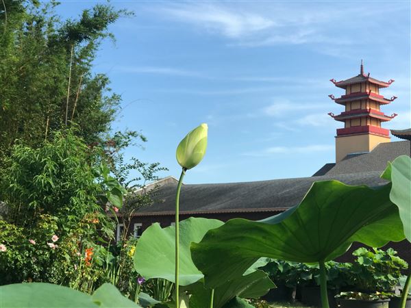 Buu Mon Buddhist Temple (10/7/2021 - Credits: Darragh Castillo)