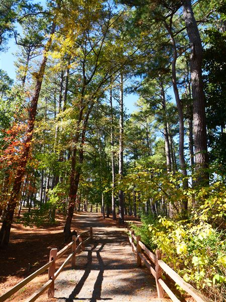 Synergy Park (11/12/2021)