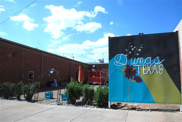 Toppled Turtle Brewing Company (6/13/2022)