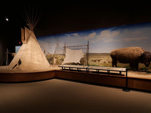 Mayborn Museum Complex (7/23/2022 - Credits: Matt Miller)