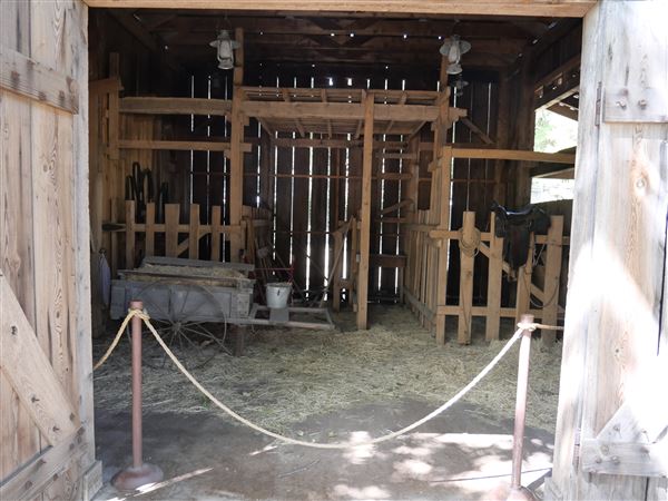 Mayborn Museum Complex (7/23/2022 - Credits: Matt Miller)