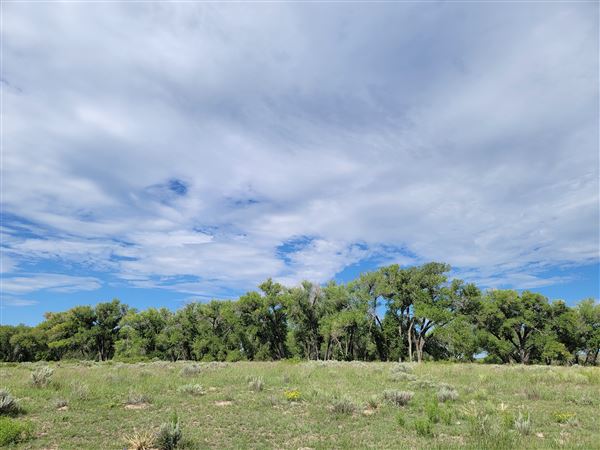 Blue Ranch (8/27/2022 - Credits: Linda Watson)