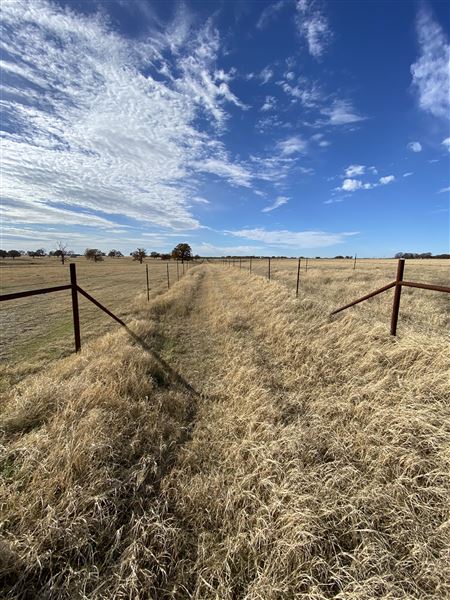 Fairlea Longhorn Ranch (12/7/2022)