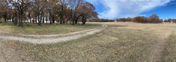 Fairlea Longhorn Ranch (12/7/2022)