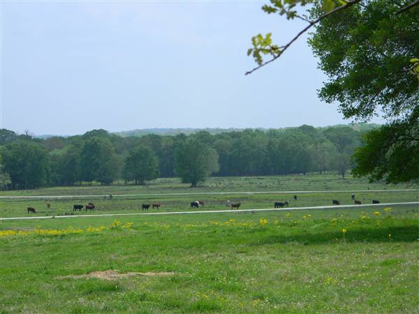 Maysel Ranch (4/1/2010)