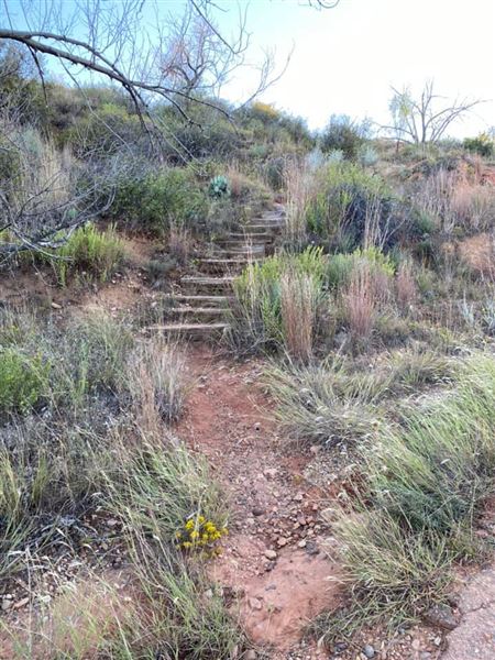 Borger Nature Trail (4/2/2023 - Credits: Deidra Thomas)