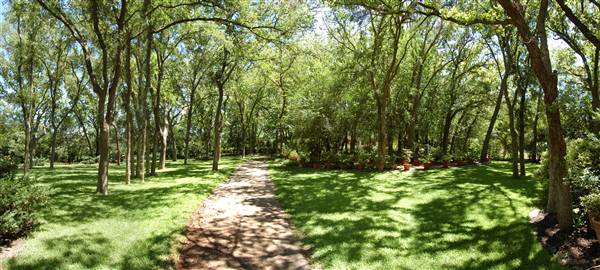 Clark Gardens Botanical Park (5/30/2009)