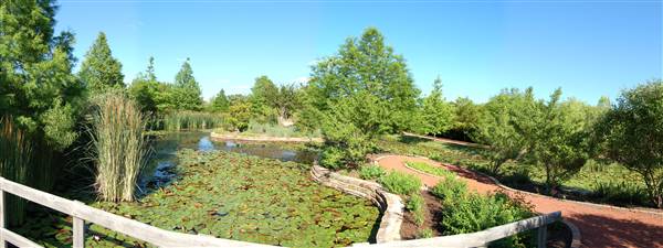 Clark Gardens Botanical Park (5/30/2009)