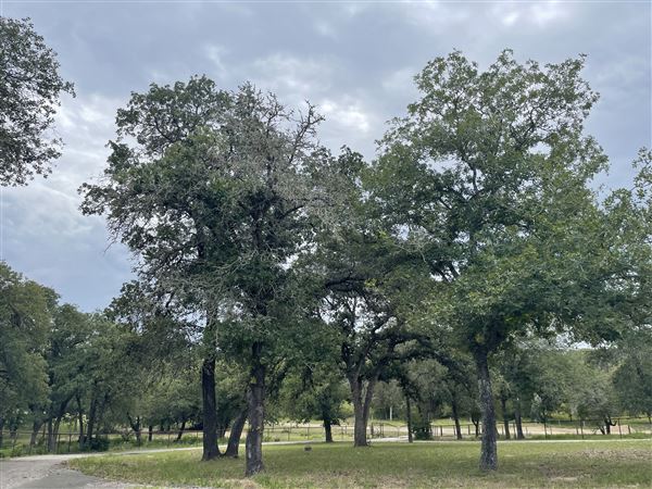 Conrey Ranch (5/25/2023)