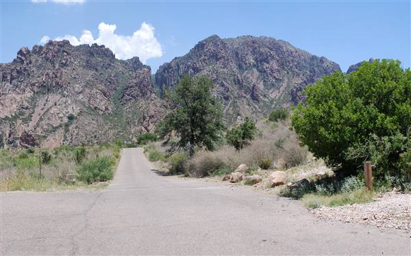 Big Bend National Park - Chisos Mountain Basin (6/12/2010)