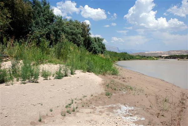 Big Bend National Park - Rio Grande Village (6/12/2010)