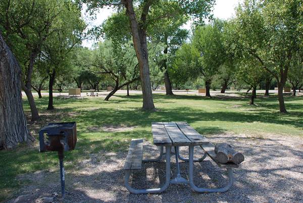 Big Bend National Park - Rio Grande Village (6/12/2010)
