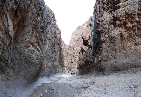 River Road - FM 170 (6/10/2010)