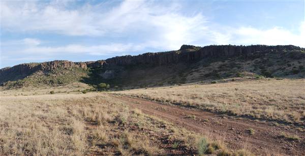 CF Ranch (6/10/2010)