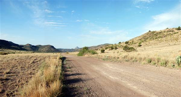 CF Ranch (6/10/2010)