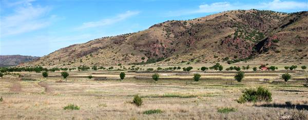 CF Ranch (6/10/2010)