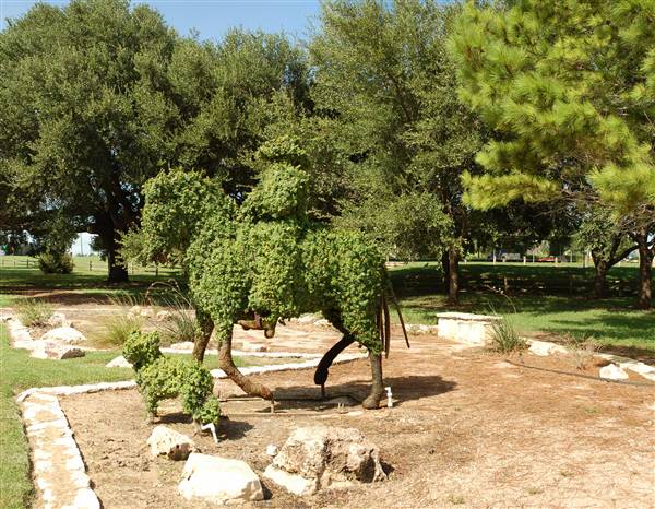 Chisholm Trail Memorial Park (8/2/2010)