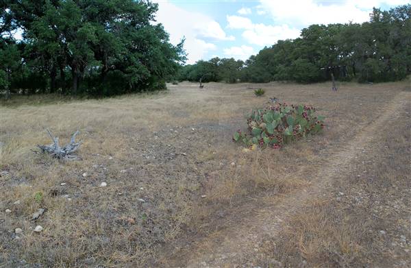 Milton Reimers Ranch County Park (8/25/2010)