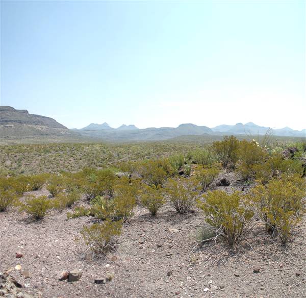 Big Bend Ranch State Park - Vista del Bofecillos (9/23/2010)