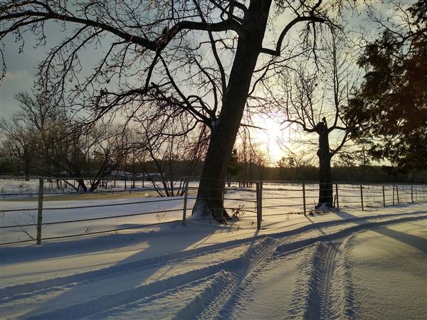 Hidden Meadows Ranch (7/6/2023 - Credits: Liza Clark)
