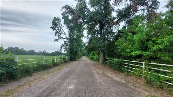 Hidden Meadows Ranch (7/6/2023 - Credits: Liza Clark)