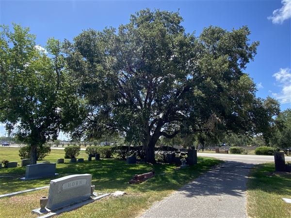 Sweeny Cemetery (8/11/2023 - Credits: LINDSAY KOSKINIEMI)