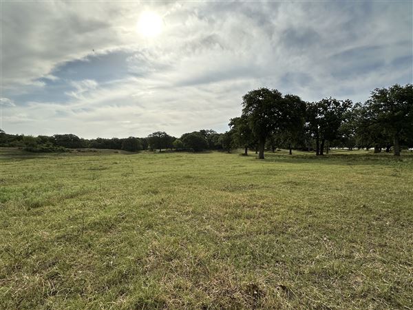 Fairlea Longhorn Ranch (7/20/2023 - Credits: K.Beck)