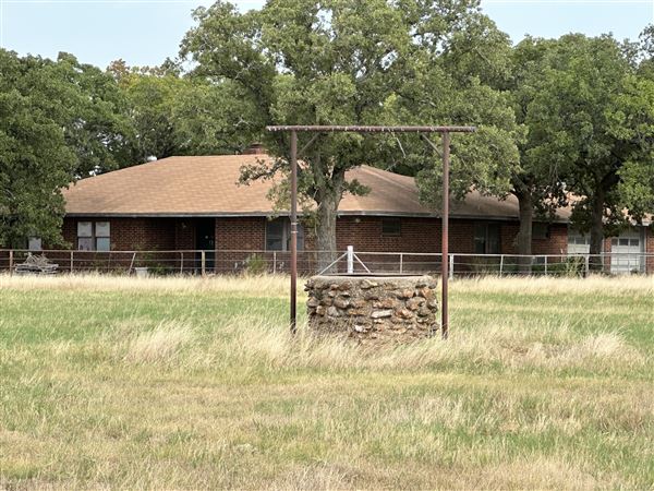 Fairlea Longhorn Ranch (7/20/2023 - Credits: K.Beck)