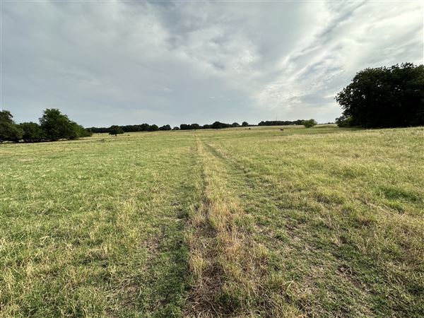 Fairlea Longhorn Ranch (7/20/2023 - Credits: K.Beck)