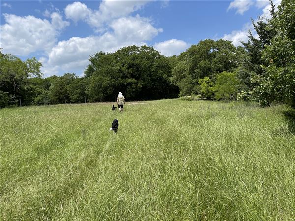 Arkikosa Ranch (10/10/2023 - Credits: submitted by: JODI SIMONS)
