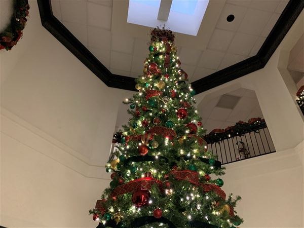 Forney City Hall (11/8/2023 - Credits: N/A)