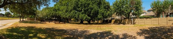 Freedom Tree Park (8/15/2023 - Credits: Jaxon Lara)