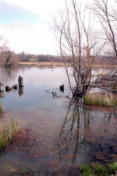 Mineola Nature Preserve (2/11/2009 - Credits: FFTX)