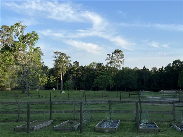 Pine Acres Farm (7/21/2023 - Credits: Bonnie Hubert)