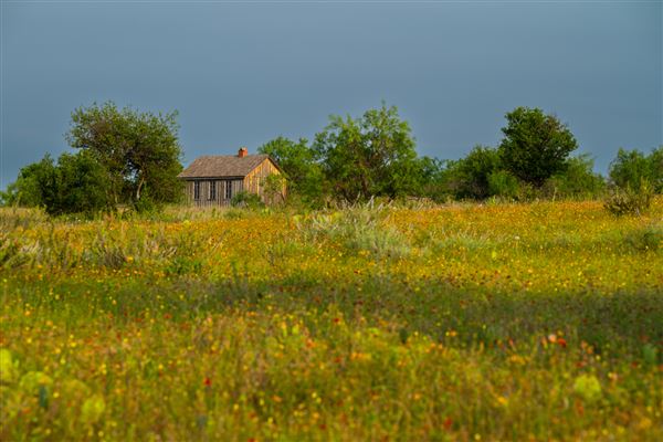 Lambshead Ranch (8/20/2024 - Credits: The photos are a collection from family members and photographers that have visited. All taken within the last 5 years or so- majority in the last 6 months.)