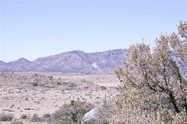 Ranch Road 505 (5/17/2011)