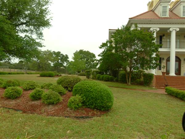 Pool House (6/16/2011)