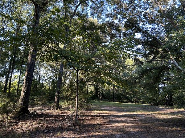 Flournoy Farm (9/24/2024 - Credits: submitted by: Sue Wisdom)