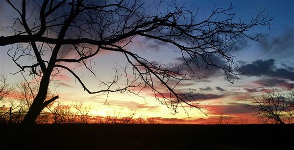 Tipton Ranch (10/11/2024 - Credits: John Cochran)