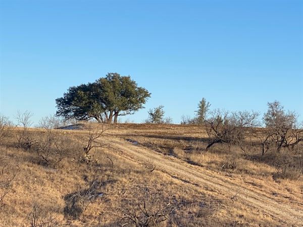 Tipton Ranch (10/11/2024 - Credits: John Cochran)