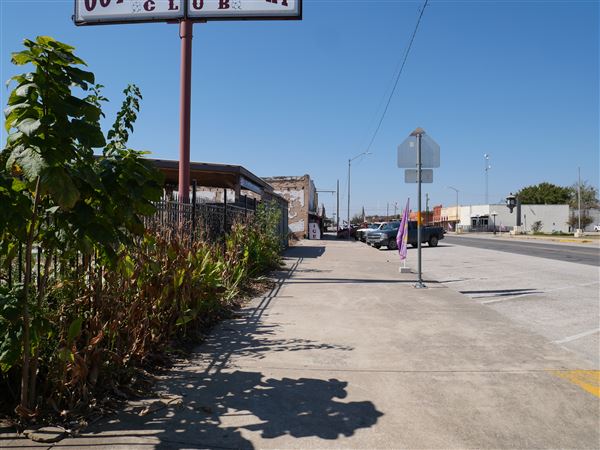 Granger (10/15/2024 - Credits: Alex Payne)