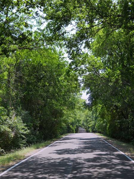 Gloria Road (9/29/2011)